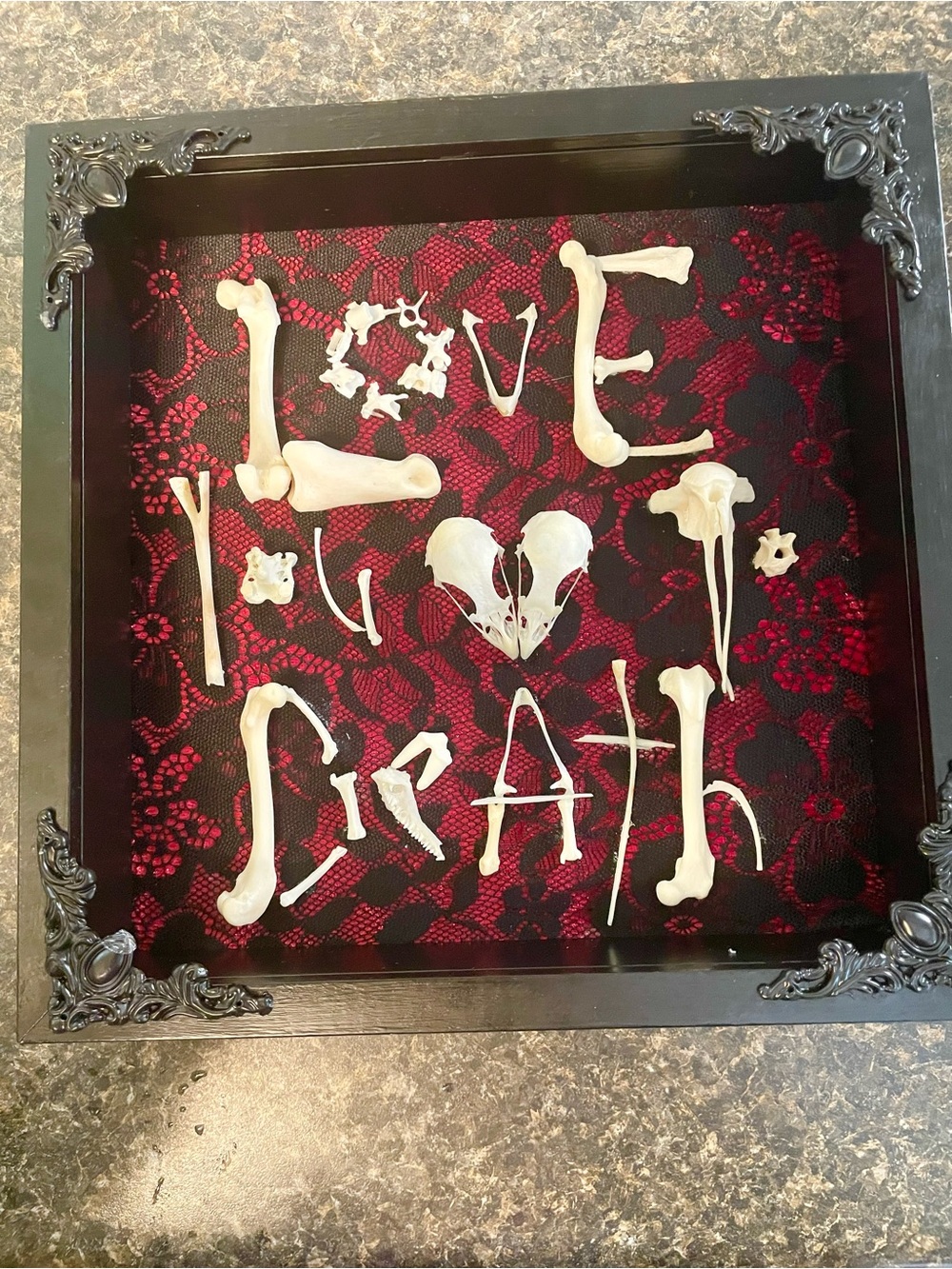 Gothic 'Love You To Death' Bone Art Shadowbox - Black & Red
